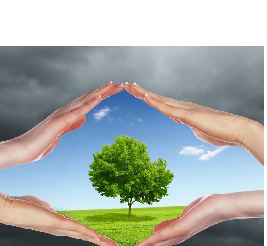 Starmed Tıbbi Ürün