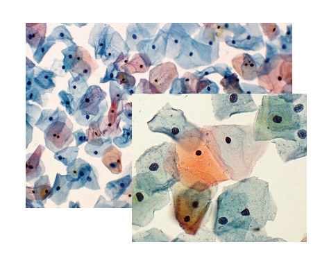 Starmed Tıbbi Ürün