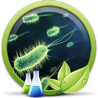 Starmed Tıbbi Ürün